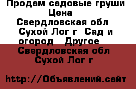 Продам садовые груши    › Цена ­ 200 - Свердловская обл., Сухой Лог г. Сад и огород » Другое   . Свердловская обл.,Сухой Лог г.